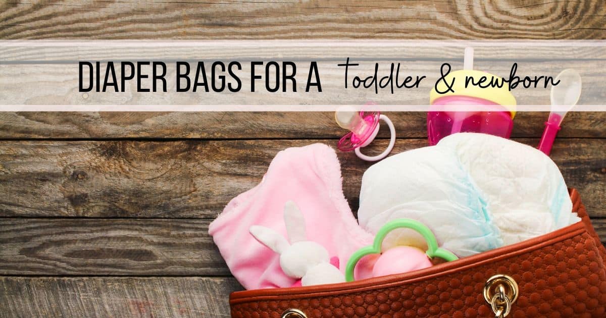 The Best Diaper Bags for a toddler and newborn Mommy Explained